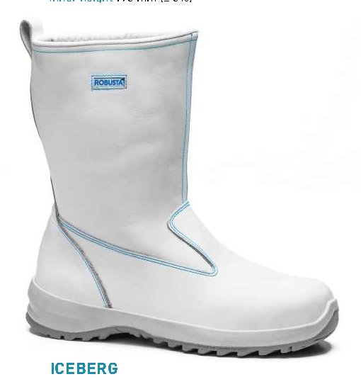WS-CHA-0112 Robusta ICEBERG S2 – Bota alta de seguridad (36)